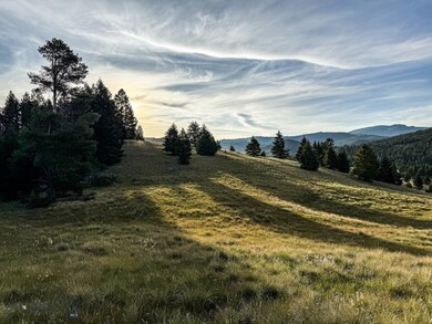 NHN Lot 21 Mountain Moose Rd, Philipsburg, MT 59858 - photo 2