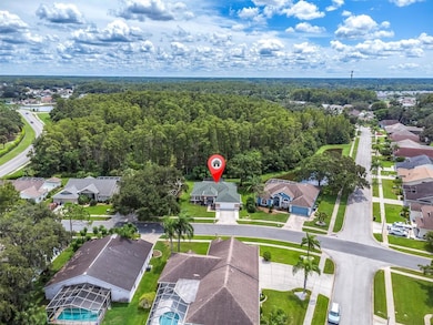 9308 Bearcat Rd, New Port Richey, FL 34655 - photo 3