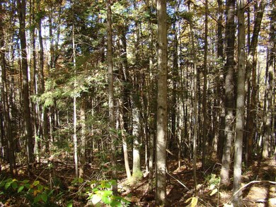 4 Ghastly Job Way unit 4, Wilmington, VT 05363 - photo 4