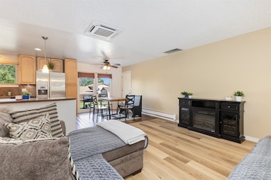 Living area with baseboard heating, light wood-sty