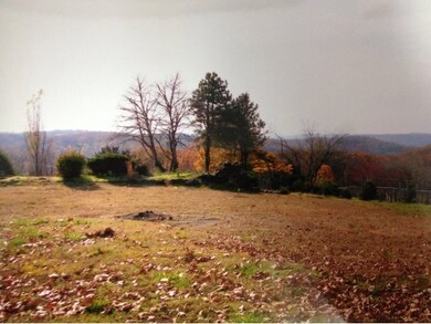 Tbd Shamrock Way, Kimberling City, MO 65686 - photo 7