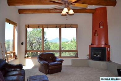 4582 N Shadow Mountain Rd unit 3, Silver City, NM 88061 - photo 5