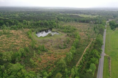 0 Hwy 438 Hwy unit LotWP001 23134119, Angie, LA 70426 - photo 4