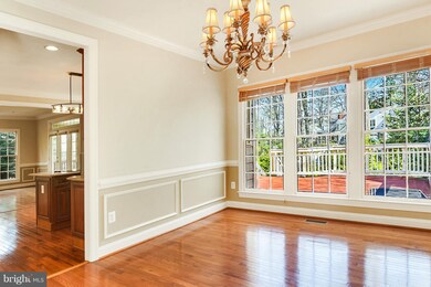 6820 Moly Dr, Falls Church, VA 22046 - photo 4