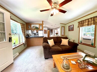 46 Mountain Meadow Rd, Warren, NH 03279 - photo 5