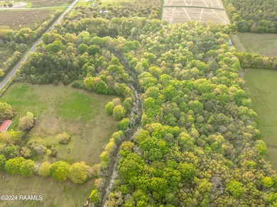 DJI_0006
