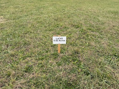 Tract #3 Ky Hwy 829, Albany, KY 42602 - photo 6