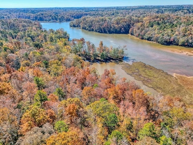 1073 Boyds Mill Pond Rd, Laurens, SC 29360 - photo 2
