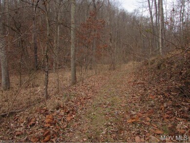 Wooded Trail