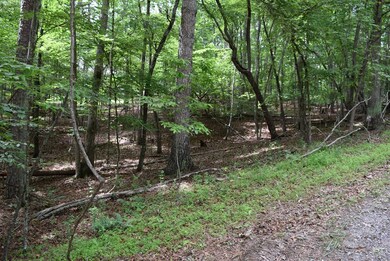 L2021+22 Garnet Dr, Ellijay, GA 30540 - photo 6