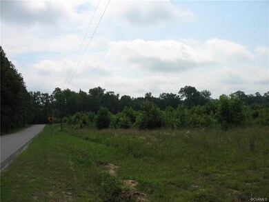 00000 Halligan Park Rd, Dinwiddie, VA 23830 - photo 4