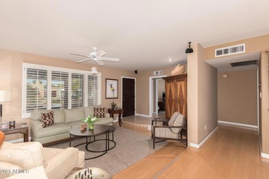Lots of Natural Light To Enjoy