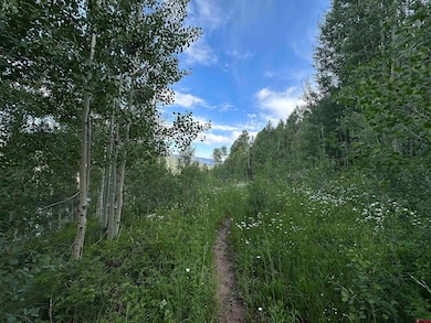 162 Double Diamond Dr, Durango, CO 81301 - photo 4