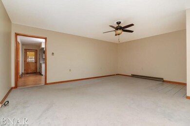 120 W Kentucky Ave, Chenoa, IL 61726 - photo 3