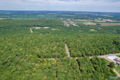 14 Acres Apache Rd NW, Huntsville, AL 35810 - photo 6