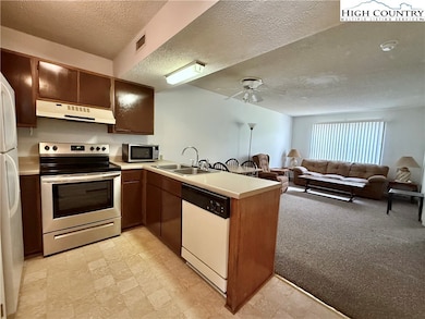 Kingswood Condominiums unit 50, Boone, NC 28607 - photo 4