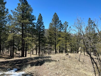 -- Country Road 2276 -- unit 2, Nutrioso, AZ 85932 - photo 5