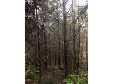 0 Gowan Rd unit 20115638, Rainier, OR 97048 - photo 5