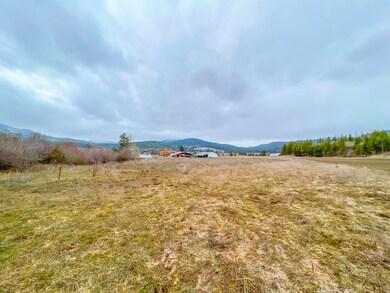 D-LOT 3 Immel Rd, Chewelah, WA 99109 - photo 4