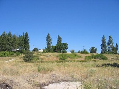 1200 W Lincoln Ave, Chewelah, WA 99109 - photo 3