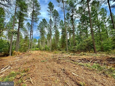 0 Old Mill Rd unit VAFQ2010670, Midland, VA 22728 - photo 3