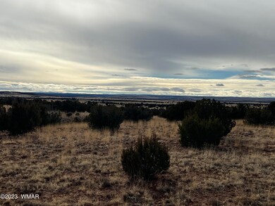 IMG-0806