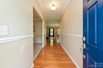 3019 Kilbeggan Dr, Clover, SC 29710 - photo 3