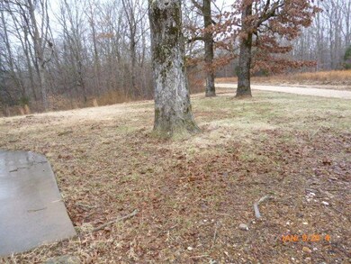 Front yard, mature shade trees