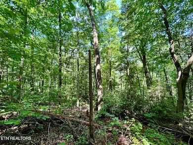 TBD Grand Country Dr, Cosby, TN 37722 - photo 3