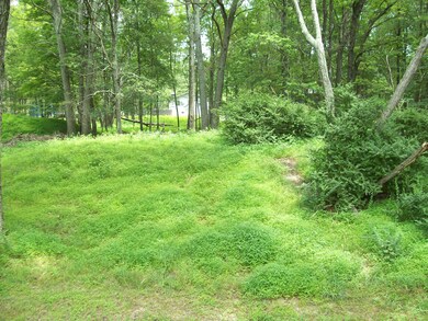 139 Davis Cir, Bushkill, PA 18324 - photo 7