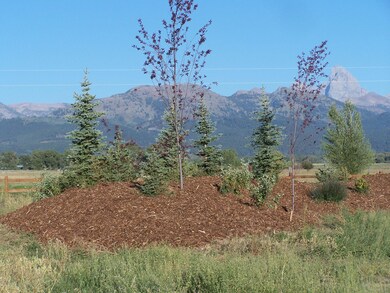 LEIGH MEADOWS Barked Berm and Views 003