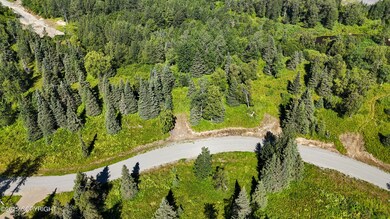 15466 Tovarish Rd, Ninilchik, AK 99639 - photo 5