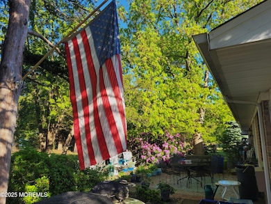 flag_hung_03