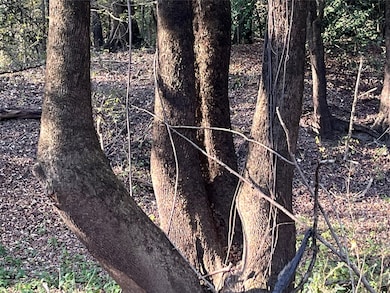 TBD State Highway 155, Winona, TX 75792 - photo 7