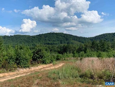 0 W Pounding Creek Rd, Charlottesville, VA 22903 - photo 4