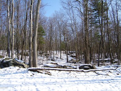 110 Blue Heron Way, Hawley, PA 18428 - photo 2