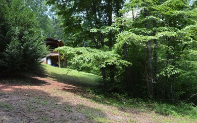 Additional View