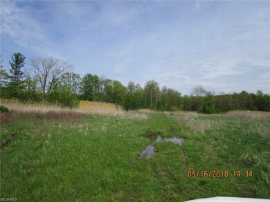 0 County Line Rd N unit 3961452, Geneva, OH 44041 - photo 3