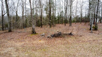 DJI_0916