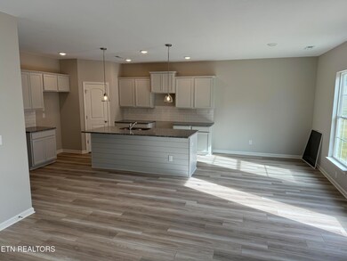 8852 Keenberg Ln, Knoxville, TN 37931 - photo 6