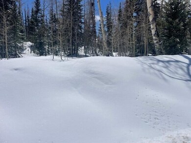 264 N 275 E unit 163, Brian Head, UT 84719 - photo 3