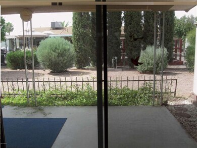 Back Porch