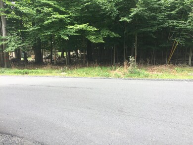 0 Marvin Gardens, Tobyhanna, PA 18466 - photo 2