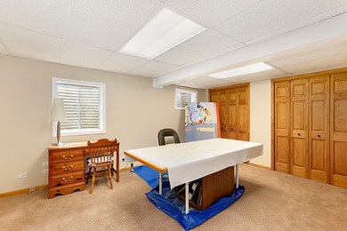 4107 Joe Willie Dr, Naperville, IL 60564 - photo 4