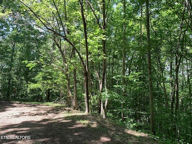 0 S Cove Rd unit 1293679, Maynardville, TN 37807 - photo 6