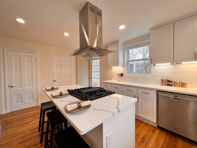 112 Chestnut St unit 3, Brookline, MA 02445 - photo 7