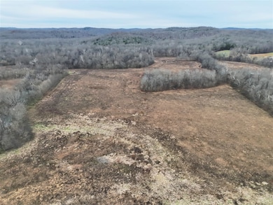 2351 N Logan School Rd, Lewisburg, KY 42256 - photo 4