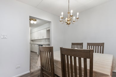 4219 W 76th St unit 106, Chicago, IL 60652 - photo 7