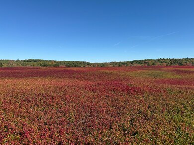 MAP31LOT29 Land-Perkins, Blue Hill, ME 04614 - photo 7