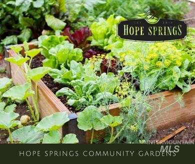 11543 W Campanula Dr, Star, ID 83669 - photo 5